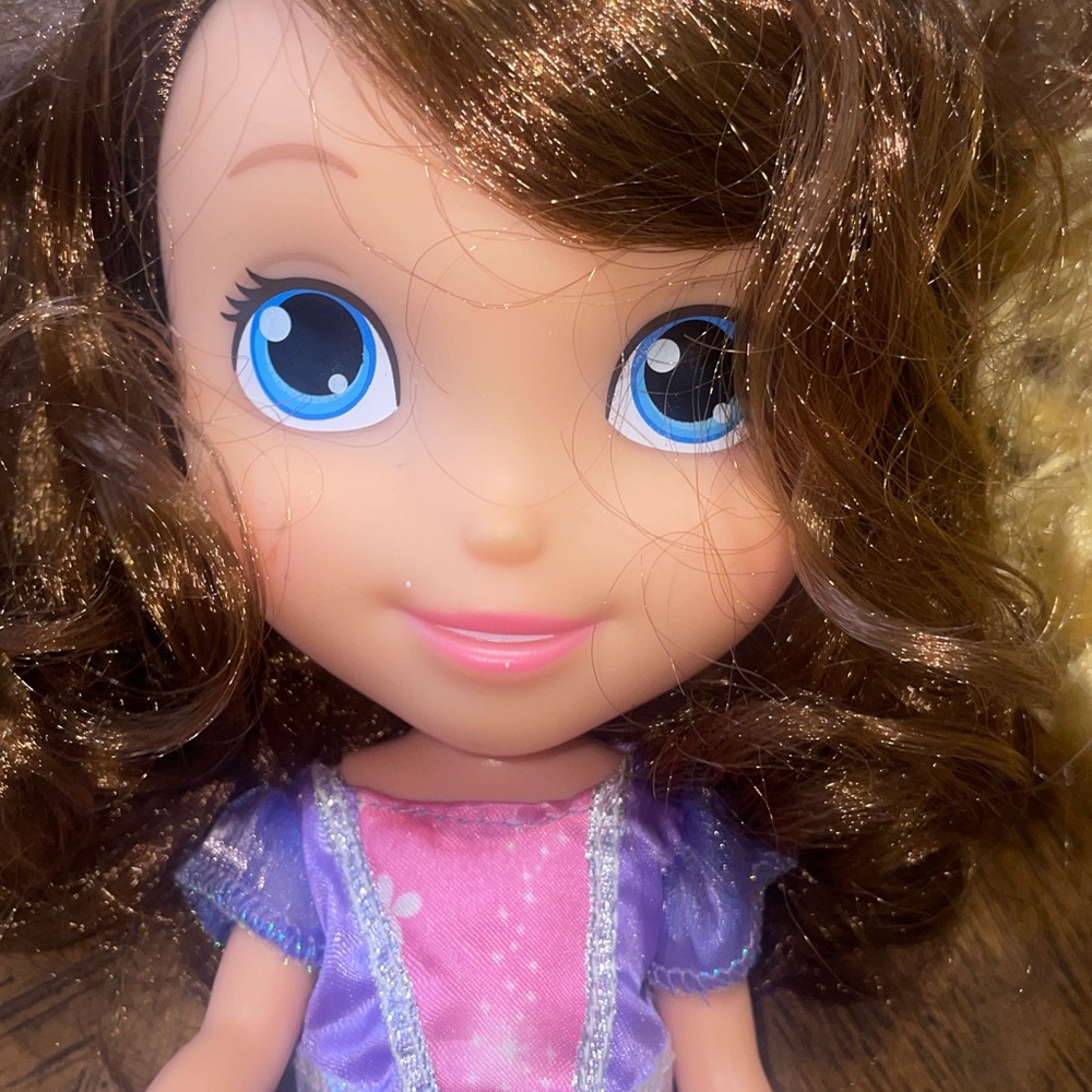 Sofia the first and her friend Dolls selling together